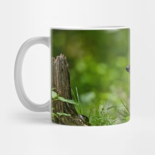 Timber Wolf Pup Mug